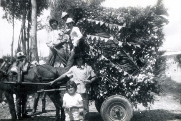 7 - carroza romeria (ayer)