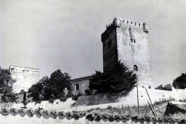 9 - Castillo (ayer)