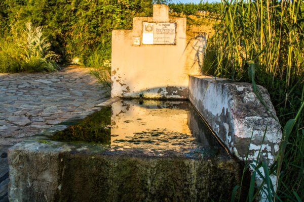 Fuente El Pozuelo